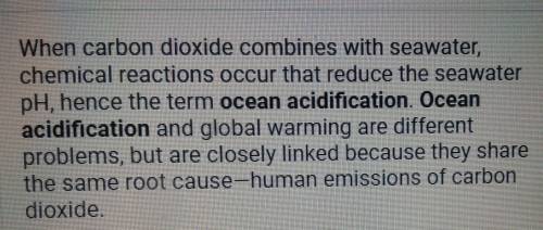 Why is ocean acidification important ?
