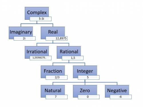 What is hierarchy for numbers, and what are 3 different number bases used when thinking about comput