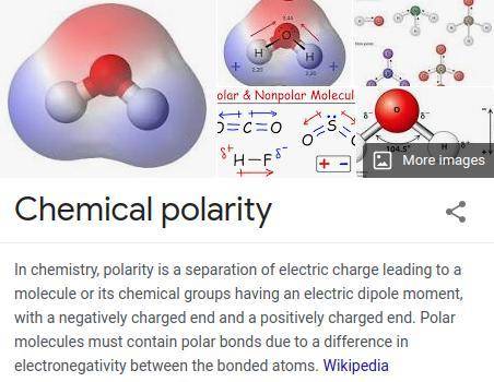 What is a polar molecule