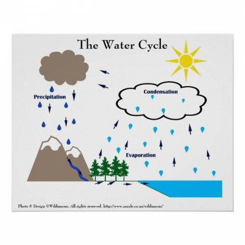 SCIENCE PROJECT THE WATER CYCLE