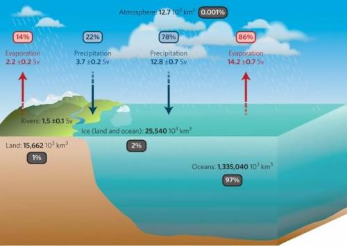 The oceans are the Earth's largest carbon reservoirs. What property of water allows the oceans' wate