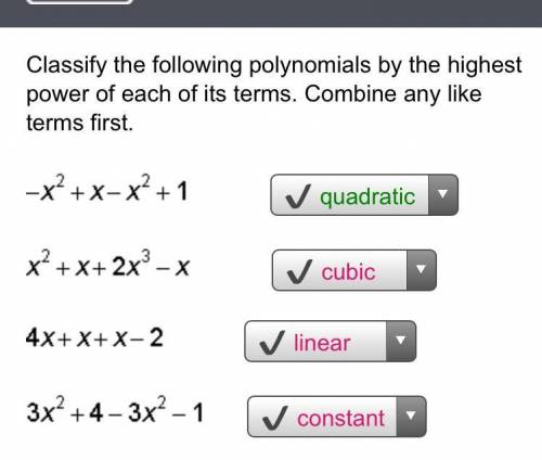 Classify the following polynomials by the highest power of each of its terms. Combine any like terms