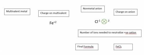 Match the options to correct boxes to write the formula for Iron(II) chloride:

FeCl2
I need helpppp