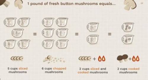 How many kilograms of white mushrooms must be picked to produce 1 kg of dried mushrooms, if after pr