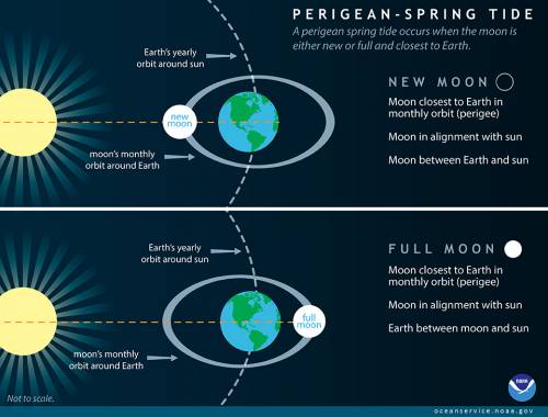 Spring tides occur when the earth, moon, and sun align as shown in the diagram. these tides may caus