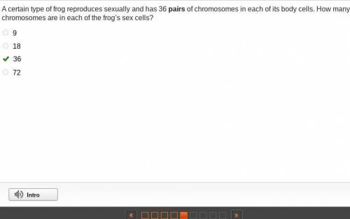 A certain type of frog reproduces sexually and has 36 pairs of chromosomes in each of its body cells