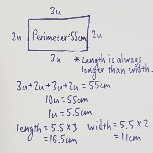 The sides of a rectangle are in the ratio 3: 2. what is the length of each side if the perimeter of 