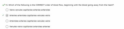 Which of the following is the CORRECT order of blood flow, beginning with the blood going away from