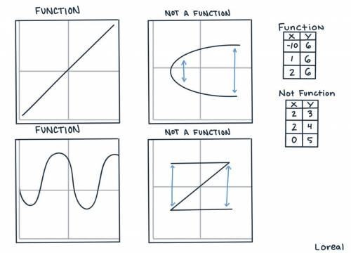 In order to tell if a graph is a function it must