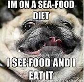 Respond to the meme I'm on a seafood diet I see food and I eat it​