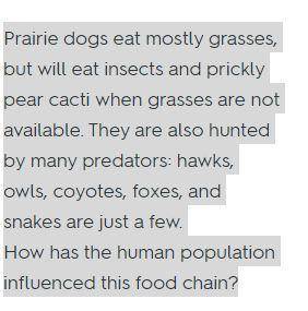 How has the human population influenced this food chain?  a) it has increased the prairie dog popula
