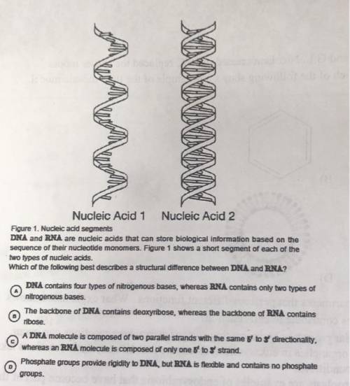 Nucleic acid segments and are nucleic acids that can store biological information based on the seque