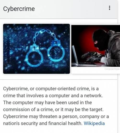 What is computer crimes. Own words