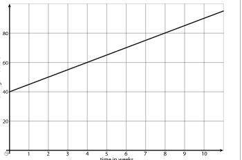 Please Hurry

The graph shows the savings in Andre’s bank account.
What is the slope of the line?
Wh