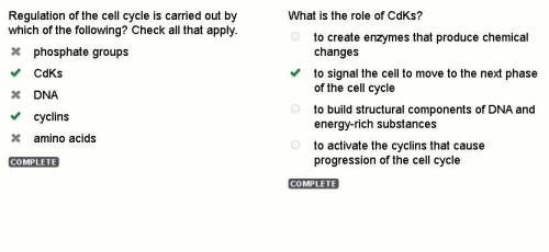 What is the role of CdKs? to create enzymes that produce chemical changes to signal the cell to move