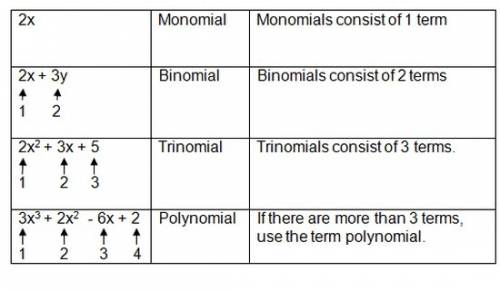 Choose the correct classification of x6 + 3x3 by number of terms and by degree. third degree polynom