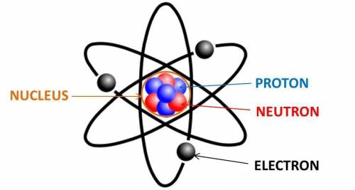 Neutrons are located

in the nucleus with protons
in the nucleus with electrons
in orbit around the
