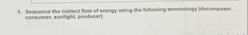 1. the correct flow of energy using the following terminology (decomposer,sequence consumer, sunligh