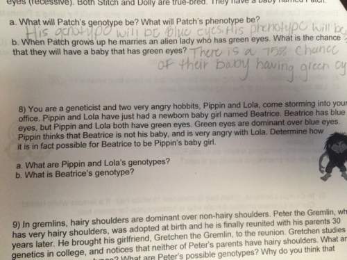 What are pippin and lola’s genotypes?