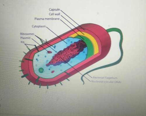 What cell is this, test got to be turned in soon