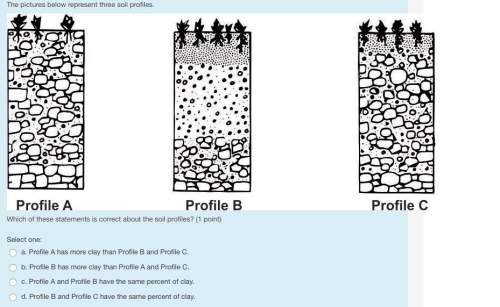 The pictures below represent three soil profiles.