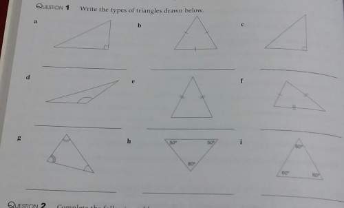 Write the types of triangles drawn below