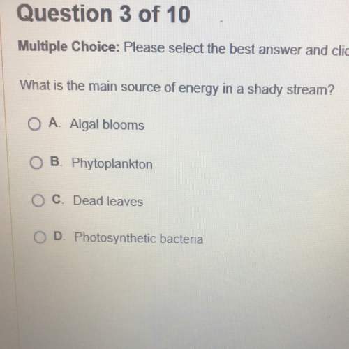 What is the main source of energy in a shady stream?