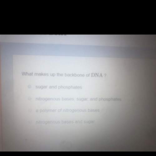 What makes up the backbone of dna?