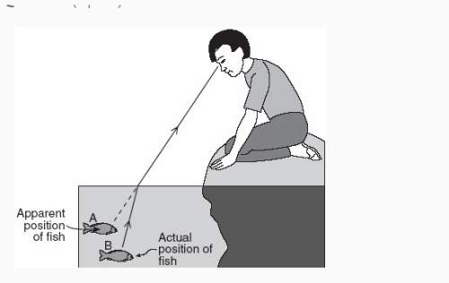 The diagram shows a boy observing a fish located at position b below the surface of the water. the b