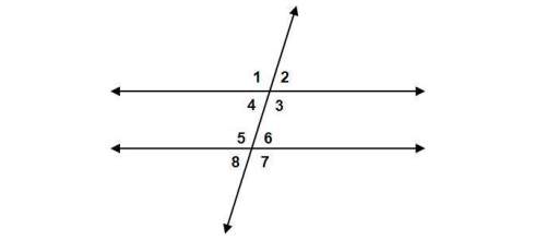 *50 points**urgent**plz ** in the figure shown, the angles formed when two parallel lines are