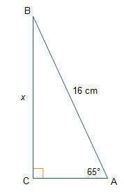 What is the length of ? round to the nearest tenth 6.8 cm 7.5 cm 14.5 cm