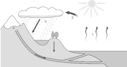 Pls ! s.o.s. the diagram below shows the water cycle on earth. in step 2, water vapor condenses int