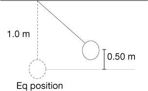 Apendulum is dropped 0.50 m from the equilibrium position as shown below.  what is the s