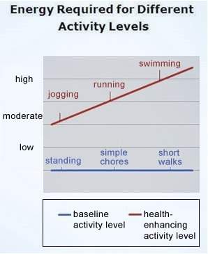 Meg is moderately active and completes 30 minutes of daily activity above the baseline level. based