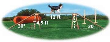 Clarify  a dog walk is used in dog agility competitions. in this dog walk, each ramp makes an