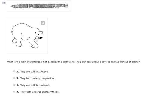 What is the main characteristic that classifies the earthworm and polar bear shown above as animals
