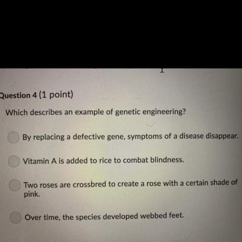 Which describes an example of genetic engineering