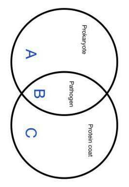 Identify what is the represented by a and a characteristics that can be included in its circle.