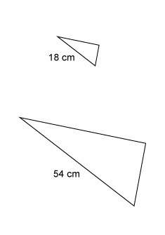 Plz !  the triangles are similar. the area of the larger triangle is 729 cm².