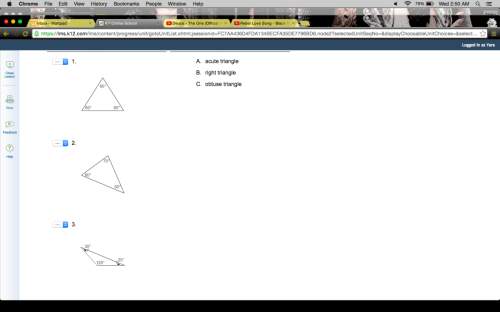 Which term best describes the triangle?