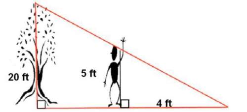 At a certain time of day, a 5-foot tall man has a 4-foot shadow. if a tree is 20 feet tall, what is