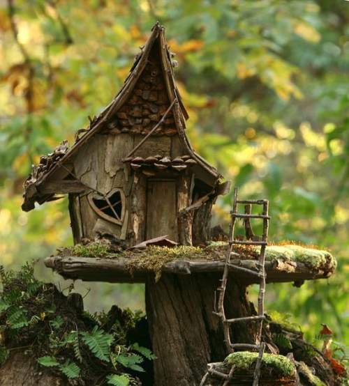 Iam starting a story and a fairy house is present. i need describing it. there should be a file for