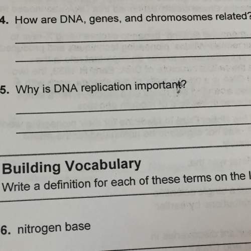 How are dna, genes, and chromosomes related?