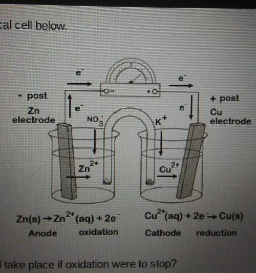 Look at the diagram of an electrochemical cell below. which statement describes what would take plac