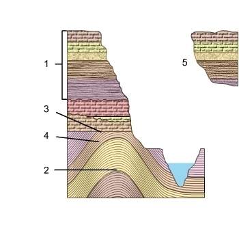 What can you assume about the layers inthe layers were originally horizontal.the layers