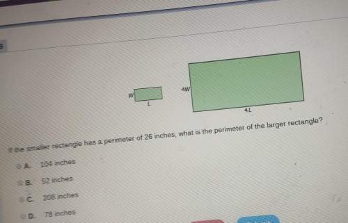 What is the perimeter of the larger rectangle i cant miss anymore and i don't know how to solve this