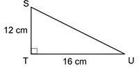 Ppplll hhhuurrryyywhat is the length (in centimeters) of side su of the triangle?