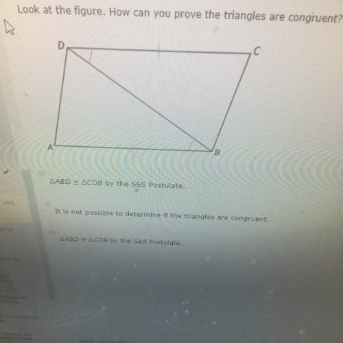 How can you prove the triangles are congruent?
