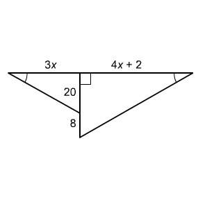 The two triangles are similar // what is the value of x?