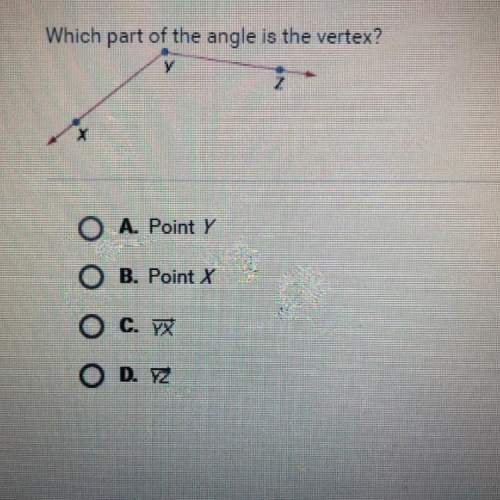 Which part of the angle is the vertex?